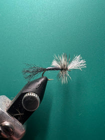 Black streamer fishing fly with gray hackle and curled white fibers