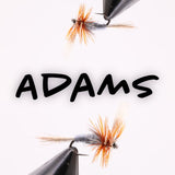 Adams