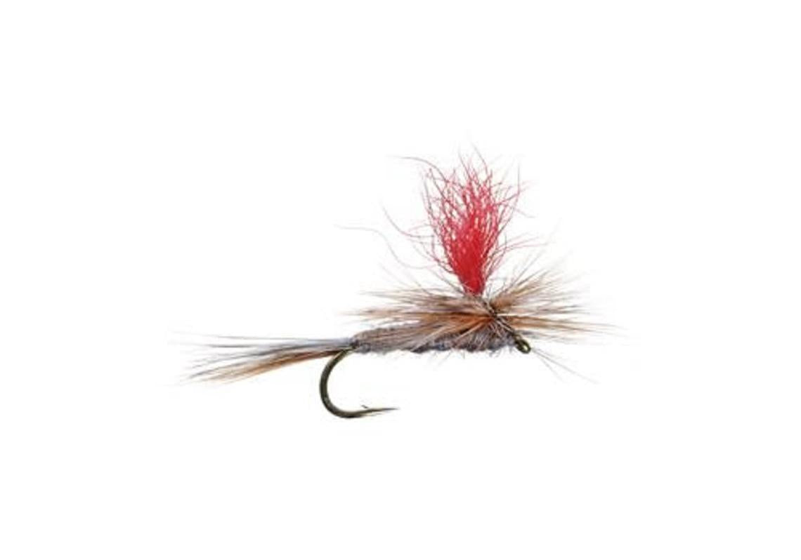 Pink feather dry fly close-up with curved hook