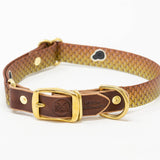 Saltwater Dog Collars