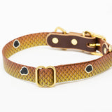 Saltwater Dog Collars