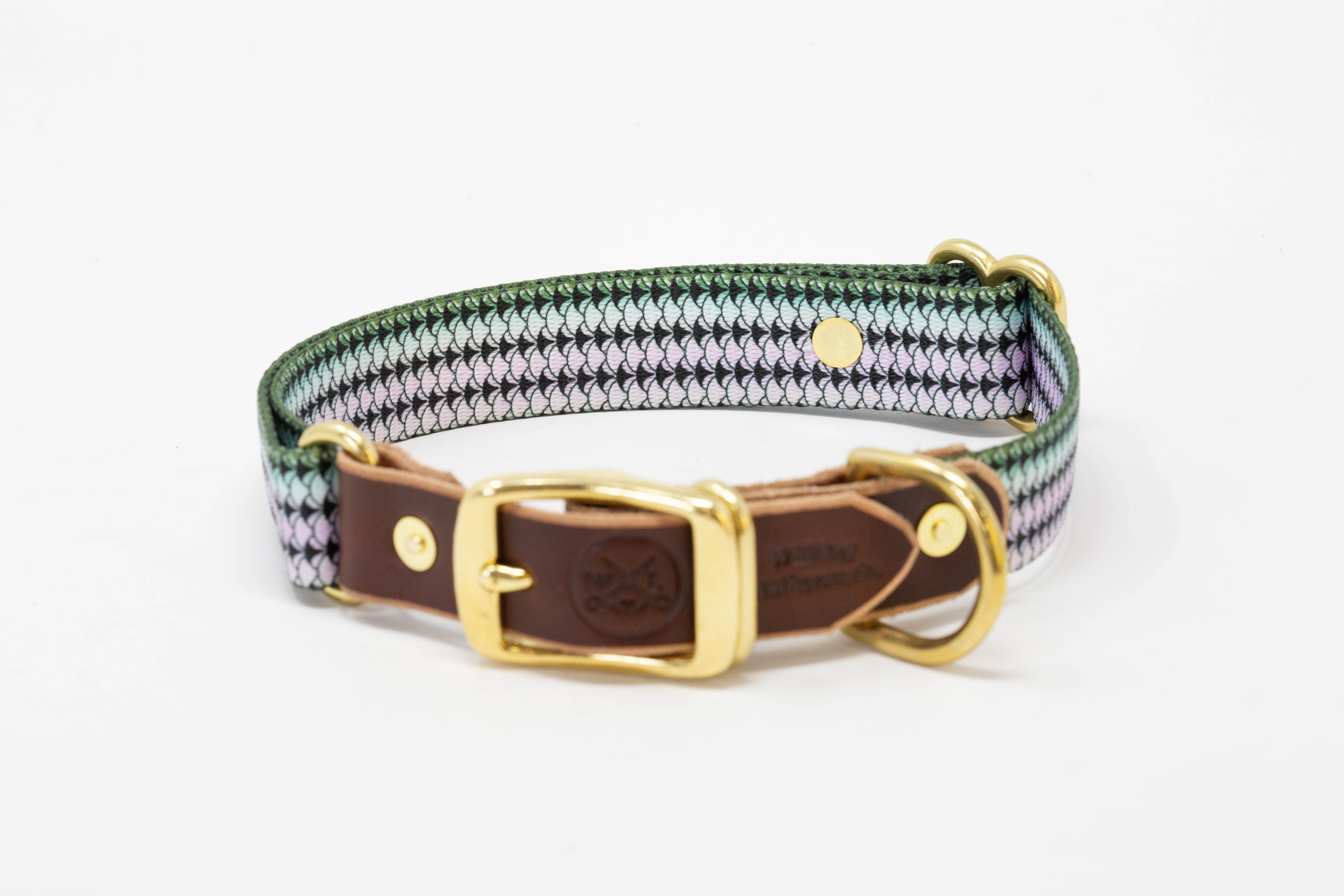 Saltwater Dog Collars