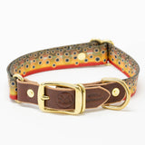 Freshwater Dog Collars