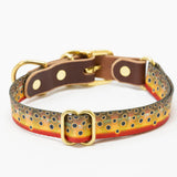 Freshwater Dog Collars