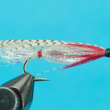 Alaskan Smolt