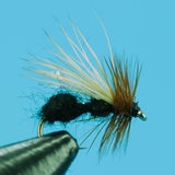 Alpine Ant