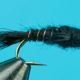AP Nymph