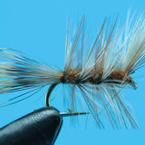 Ausable Bomber
