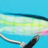 Baitfish Bass