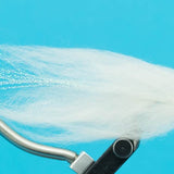 Baitfish Bass