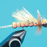 Bandit Salmonfly