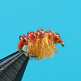 Bead Back Scud
