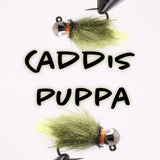 BH Caddis Pupa Olive