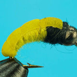 Bottom Bouncing Caddis-Beadhead