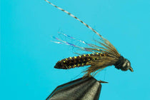 Braided caddis pupa fly profile with olive body, dark thorax, gold beadhead