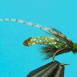 Braided Caddis Pupa-Beadhead