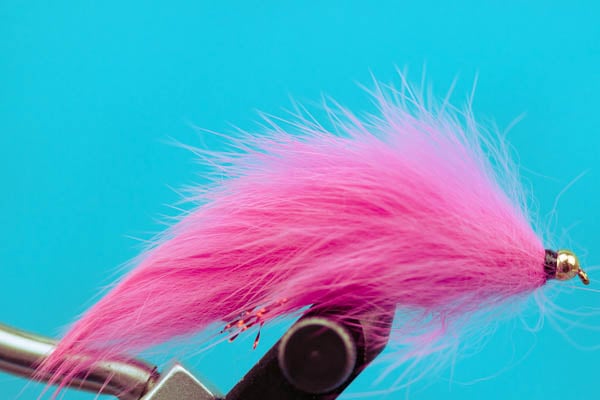 Bunny Leech-Beadhead