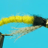 Caddis Larva-Beadhead