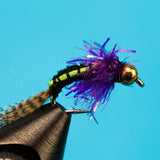Steelhead Hammer-Beadhead