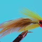 Big Eye Deceiver