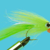 Big Eye Deceiver