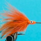 Big Y Tarpon Orange