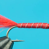 Bloodworm Larva