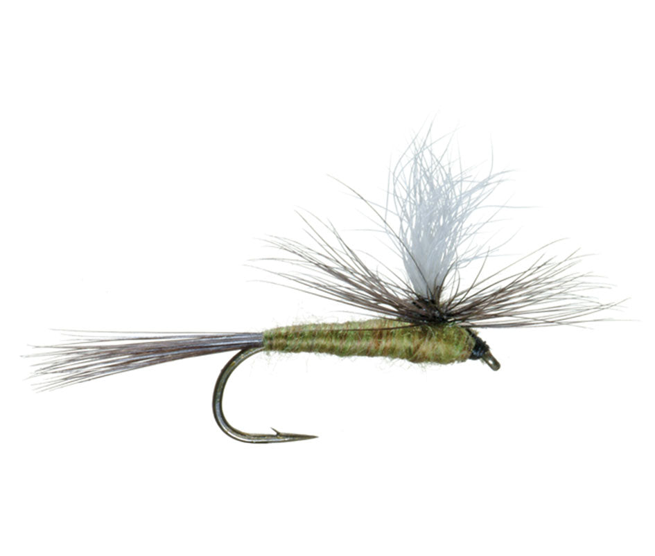 Parachute dry fly: olive body with blue wing and barbed hook (single)