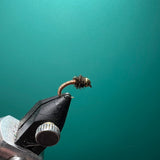 Brassie