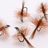 Brown Bivisible