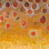 2024 Catch Cam Net Handles