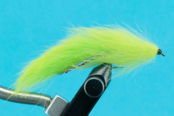 Bunny Leech