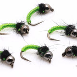 Caddis Larva