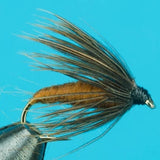 Caddis Pupa