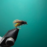Caddis Pupa