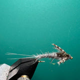 Callibaetis Nymph