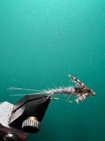 Callibaetis nymph fishing fly with dark speckled body and split tail, on hook