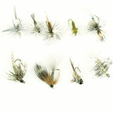 Callibaetis Assortment--36 Flies #12