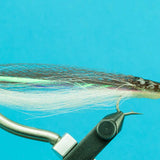 Candy Eel