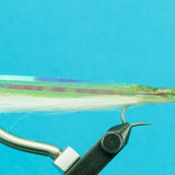Candy Eel