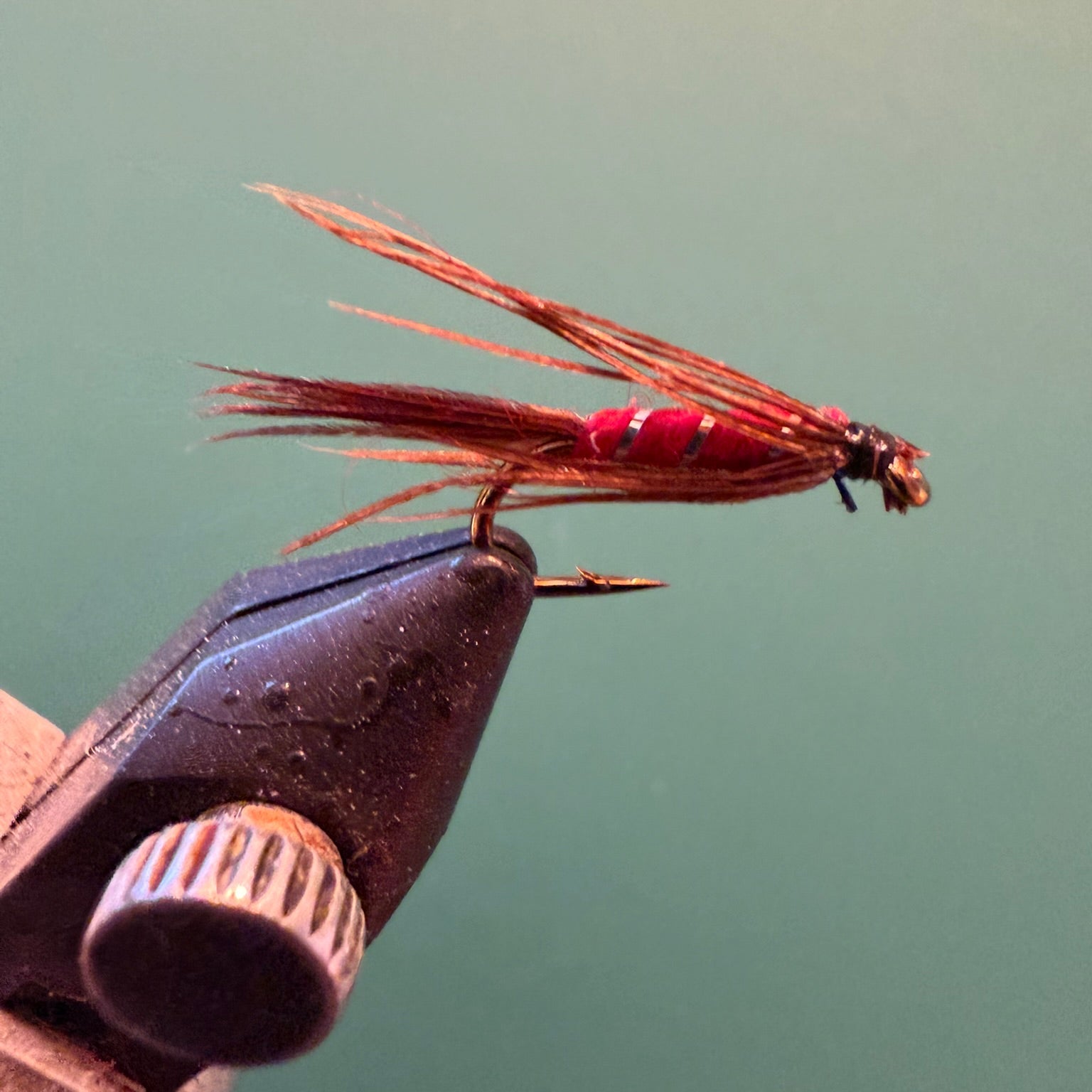 Carey Special