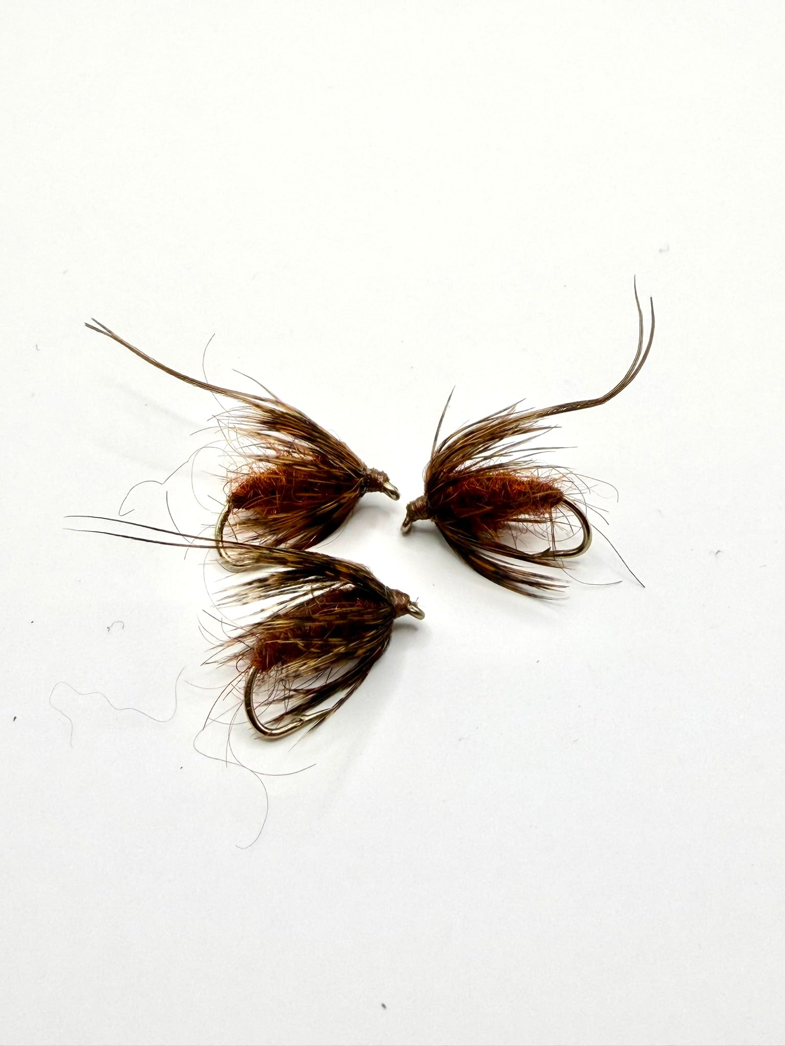 Brown fuzzy pupa fly with spiky hackle wings on a hook, two flies