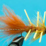 Conehead Autumn Splendor