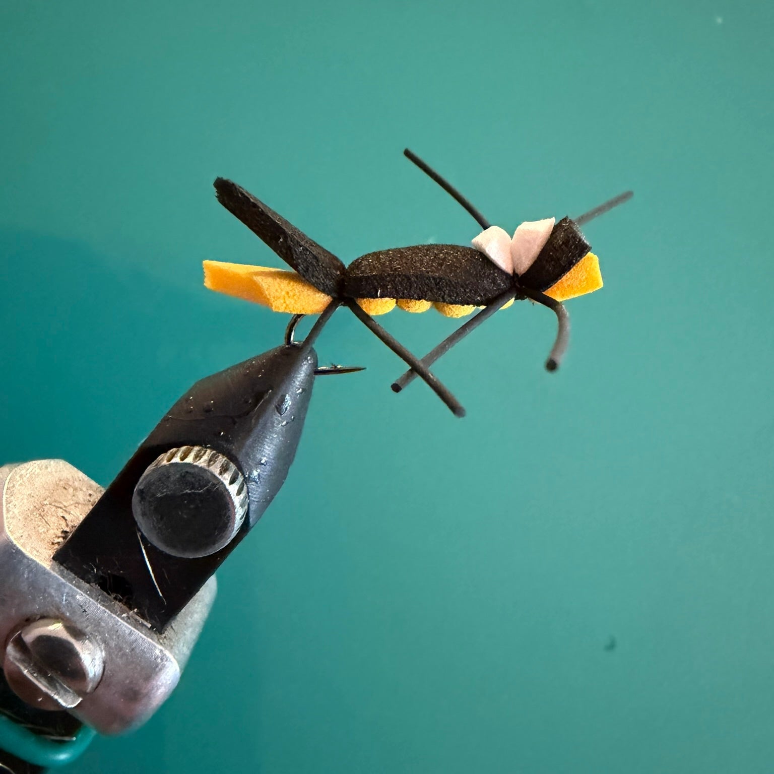 Chernobyl Ant