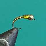 Olive beadhead chironomid fly with gold body and curved hook