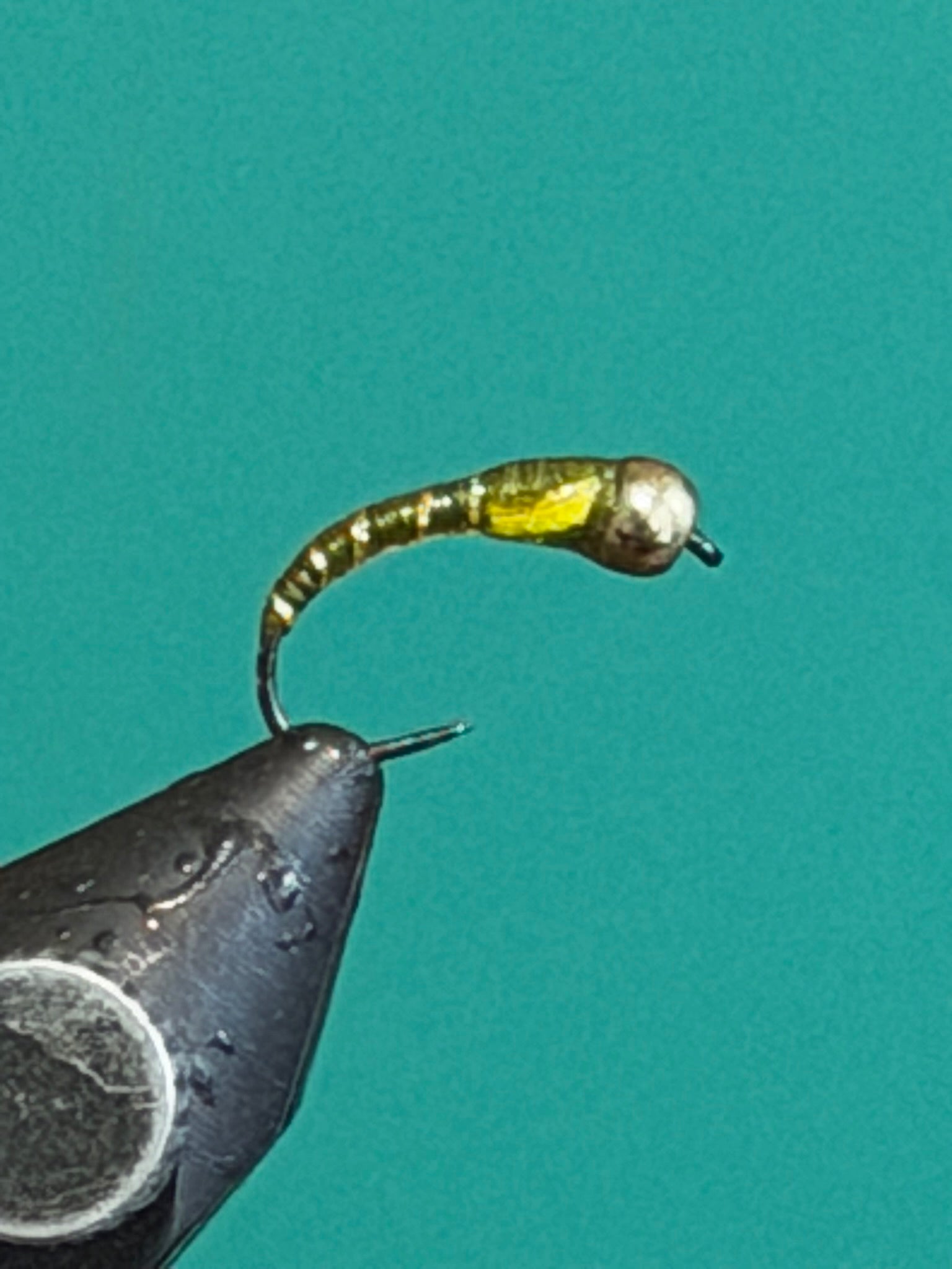 Olive beadhead chironomid fly with gold body and curved hook