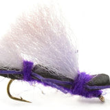 Basics Collection - Chernobyl Ant Foam Dry Fly Assortment - 10 Dry Fishing Grasshopper Flies - 5 Patterns - Hook Size 10