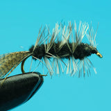 CK Nymph