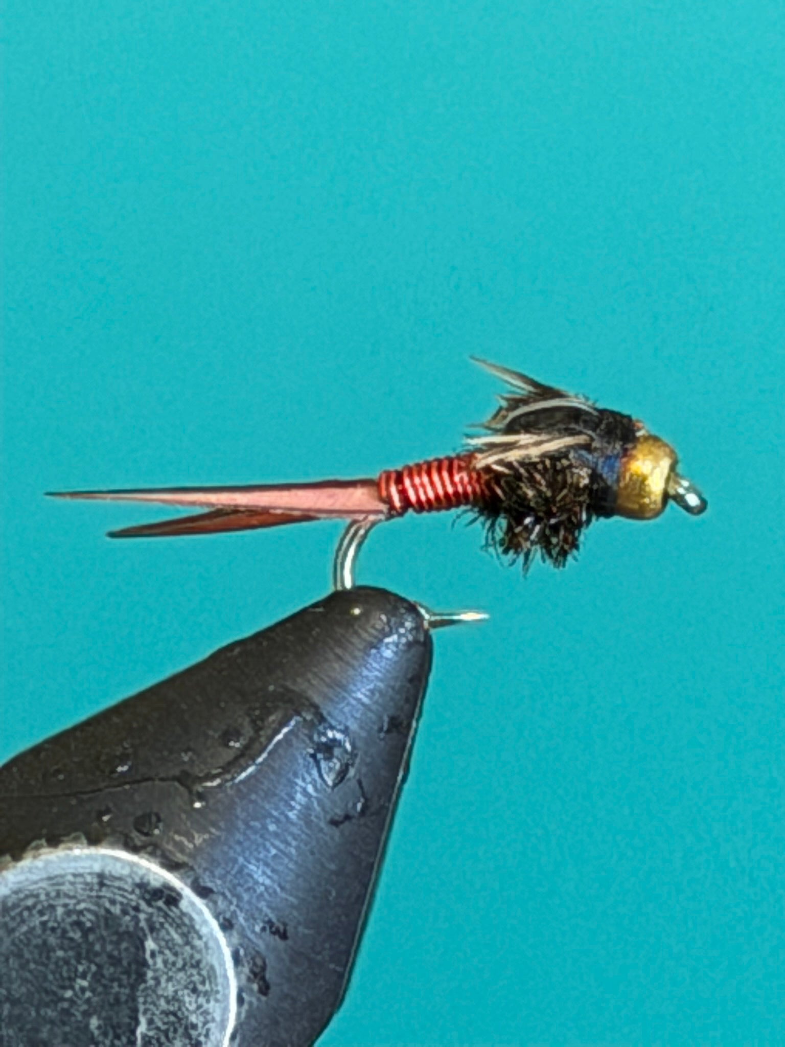 Red Copper John fishing lure with feather tail and copper ribbed body