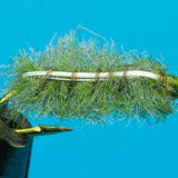 Cress Bug